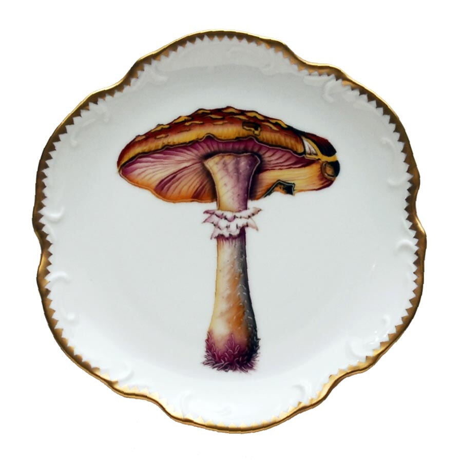 Anna Weatherley Mushroom Hors d'Oeuvre Plate #2