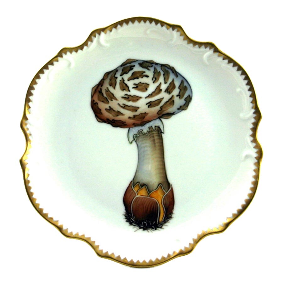 Anna Weatherley Mushroom Hors d'Oeuvre Plate #3