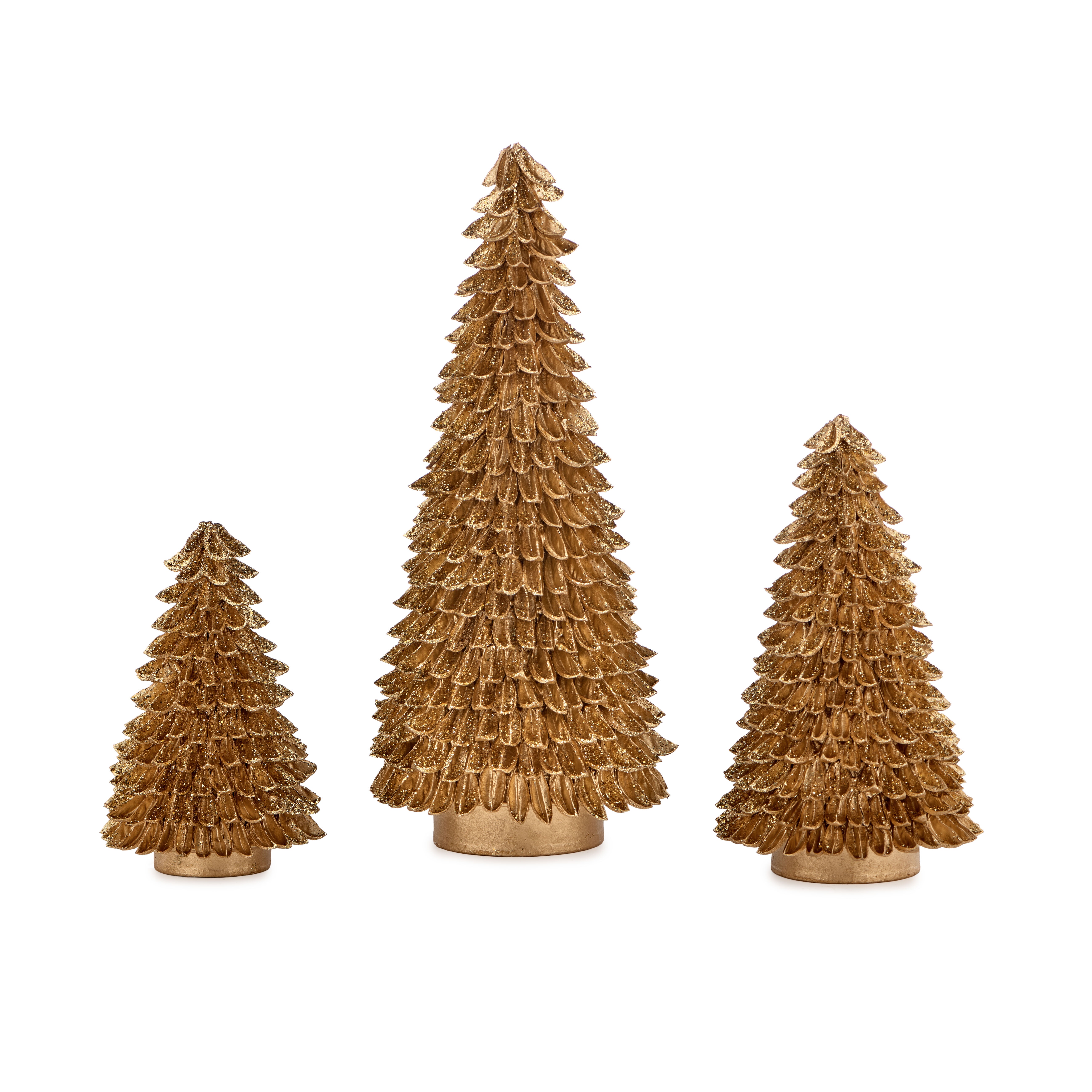 Banaba Gold Cone Tree