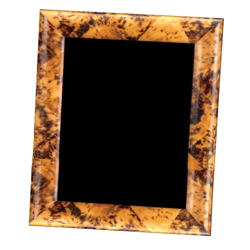 Penshell Frame Tiger Pen Shell Frames