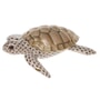 W1145 - Loggerhead Sea Turtle Chocolate