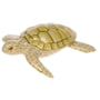 W1143 - Loggerhead Sea Turtle Butterscotch