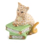 Cat on Books Butterscotch